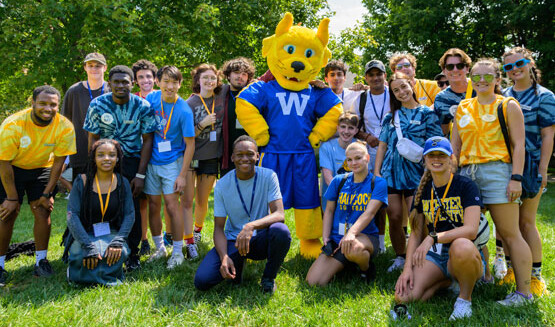 Webster University vysoká škola