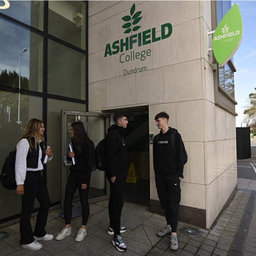 Ashfield nahled