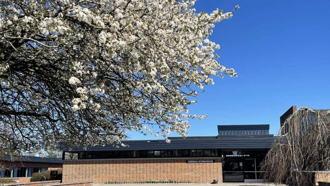 Grenaa Gymnasium střední škola kampus (1)